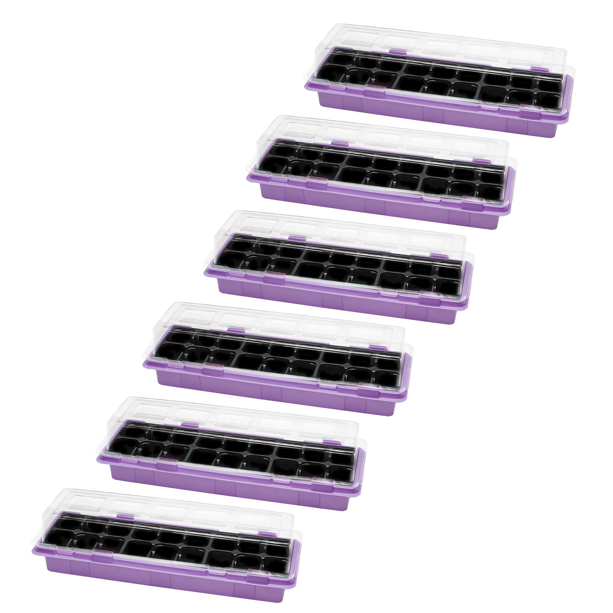 Garronda Mini-gewächshaus Anzuchtkasten 47 X 16 Cm Violett 6 Stück Gd-0043
