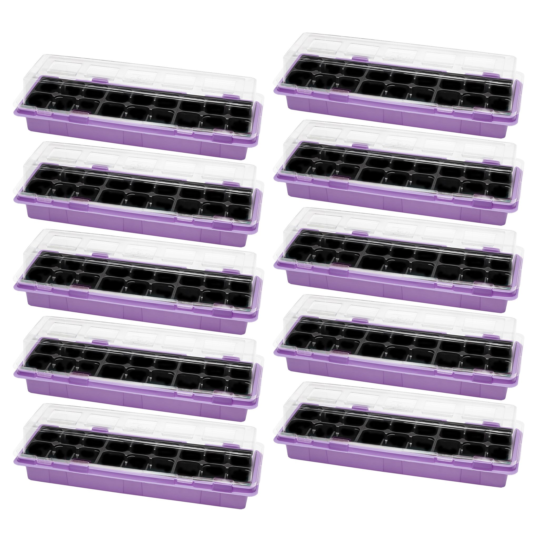 Garronda Mini-gewächshaus Anzuchtkasten 47 X 16 Cm Violett 10 Stück Gd-0043