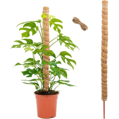 Monstera-pflanzenstützen Aus Schaumstoff Und Kokosfaser, 120 Cm, Stützstab Für Kletterpflanzen
