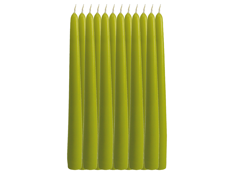 WIEDEMANN Tafelkerzen, lindgrün, 12 Stück, 250x25 mm
