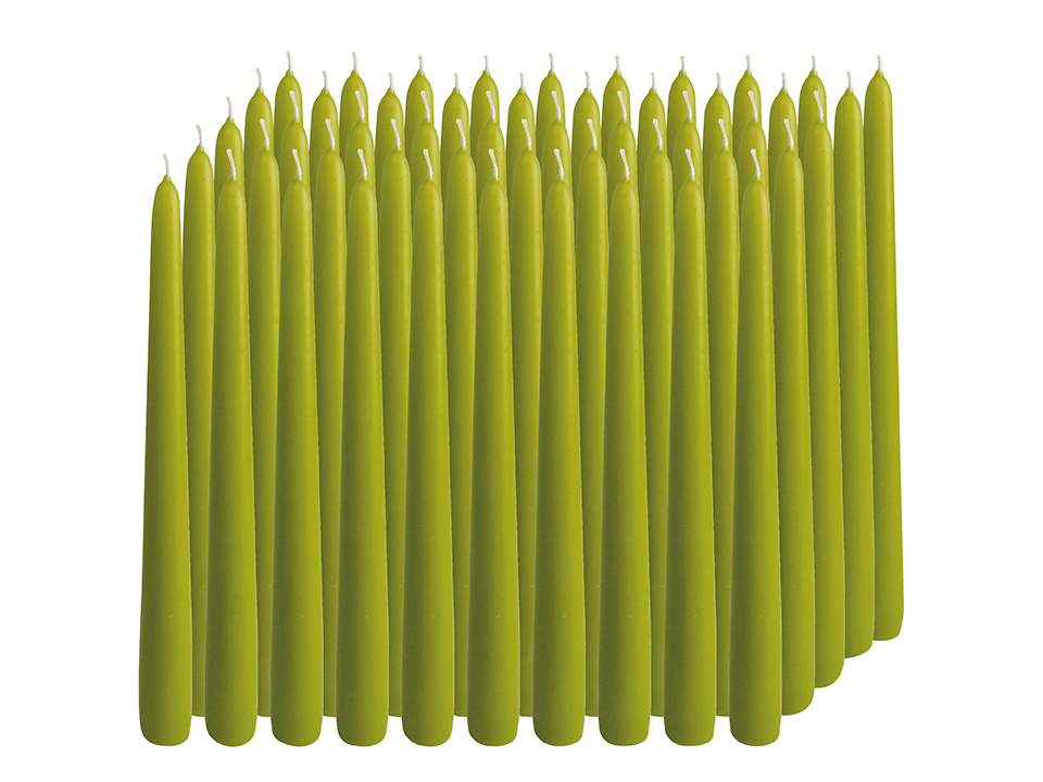WIEDEMANN Tafelkerzen, lindgrün, 250/25mm, 50 Stück