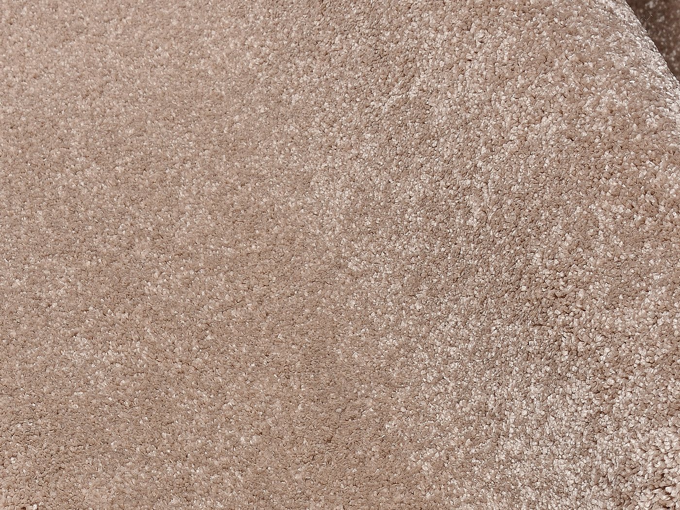 OCI DIE TEPPICHMARKE Teppich BELLEVUE, auch als Läufer und in Rund, rechteckig, Höhe: 20 mm, hochwertiger dichter Hochflor, Shaggy, Langflor, Wohnzimmer Bild 5
