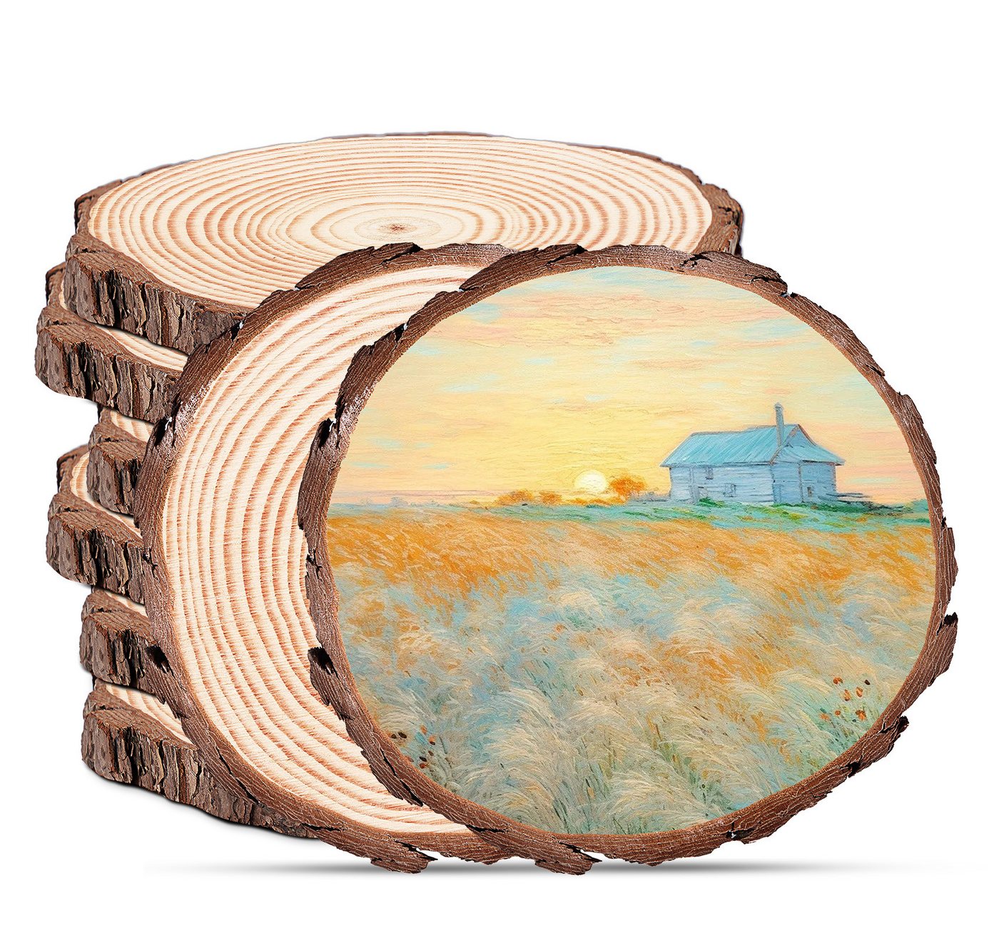 lindahandel Rindenscheiben 5er Set natürliche runde Kiefer-Baumscheiben, Ø23–25 cm,Dicke 1.5 cm, (5-tlg), Holzscheiben für DIY Basteln, Tischdekoration, Untersetzer, Hochzeit Bild 4