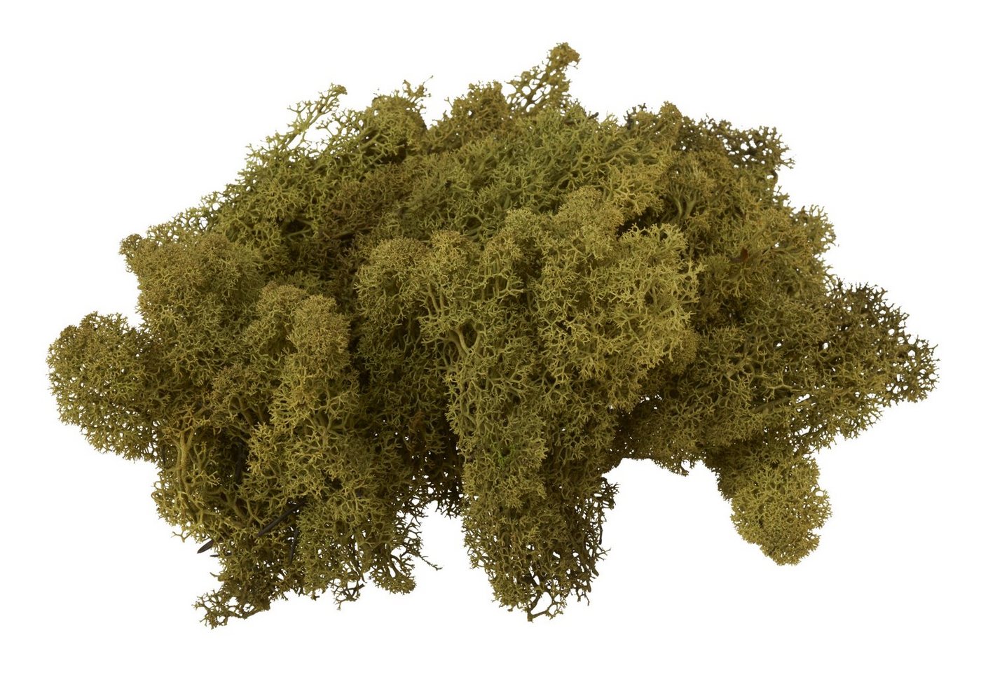 VBS Bastelmoos Island, 100 g