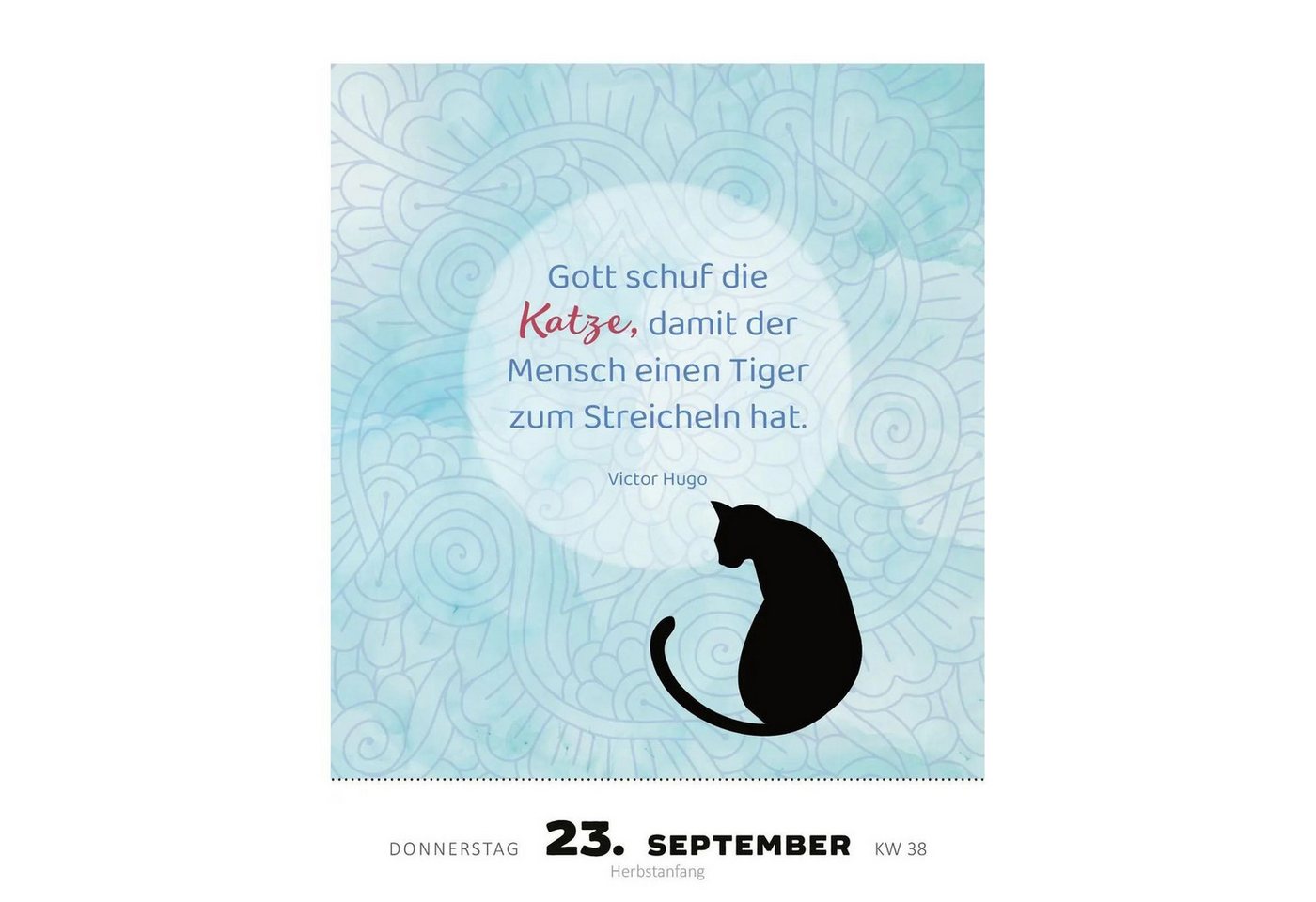 Ars Edition Abreißkalender Abreißkalender Katzenweisheiten 2027 Bild 4