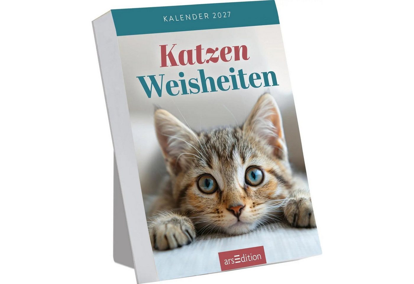 Ars Edition Abreißkalender Abreißkalender Katzenweisheiten 2027 Bild 5