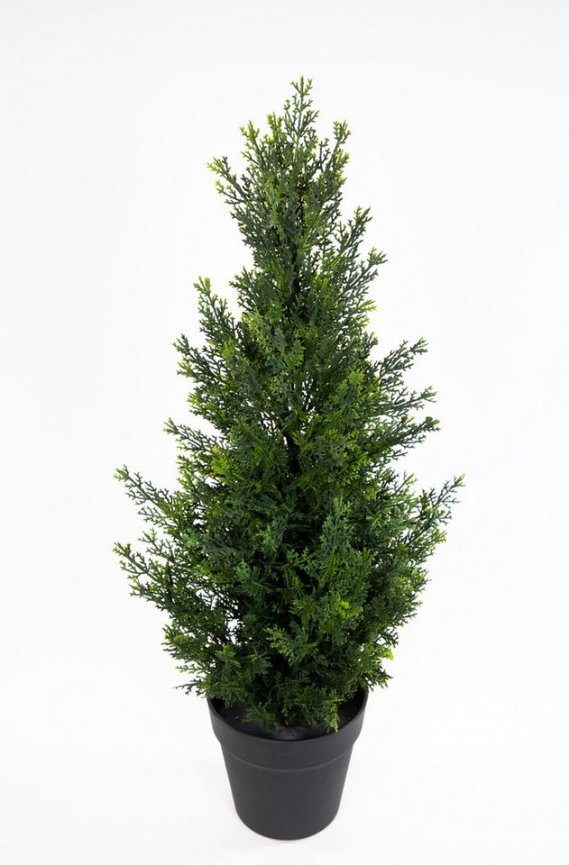 Kunstpflanze Zeder / Konifere Natura LA Kunstbaum künstliche Thuja Zypresse Zeder, Seidenblumen Roß, Höhe 60 cm Bild 2