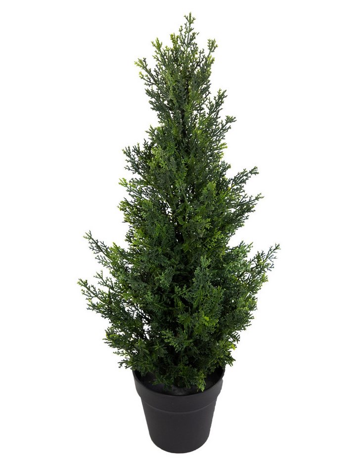 Kunstpflanze Zeder / Konifere Natura LA Kunstbaum künstliche Thuja Zypresse Zeder, Seidenblumen Roß, Höhe 60 cm Bild 3