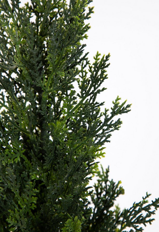 Kunstpflanze Zeder / Konifere Natura LA Kunstbaum künstliche Thuja Zypresse Zeder, Seidenblumen Roß, Höhe 60 cm Bild 4