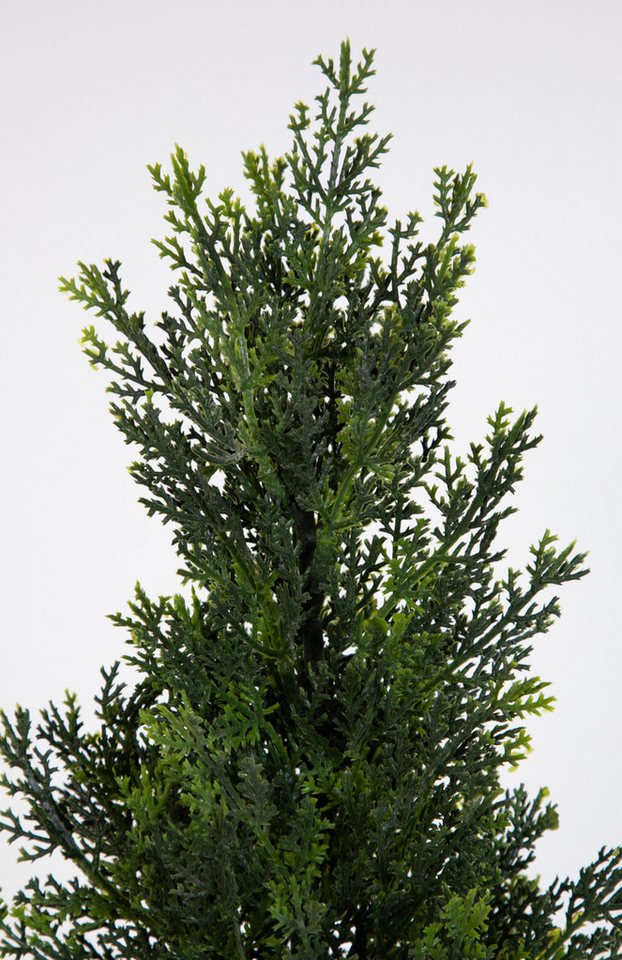 Kunstpflanze Zeder / Konifere Natura LA Kunstbaum künstliche Thuja Zypresse Zeder, Seidenblumen Roß, Höhe 60 cm Bild 5