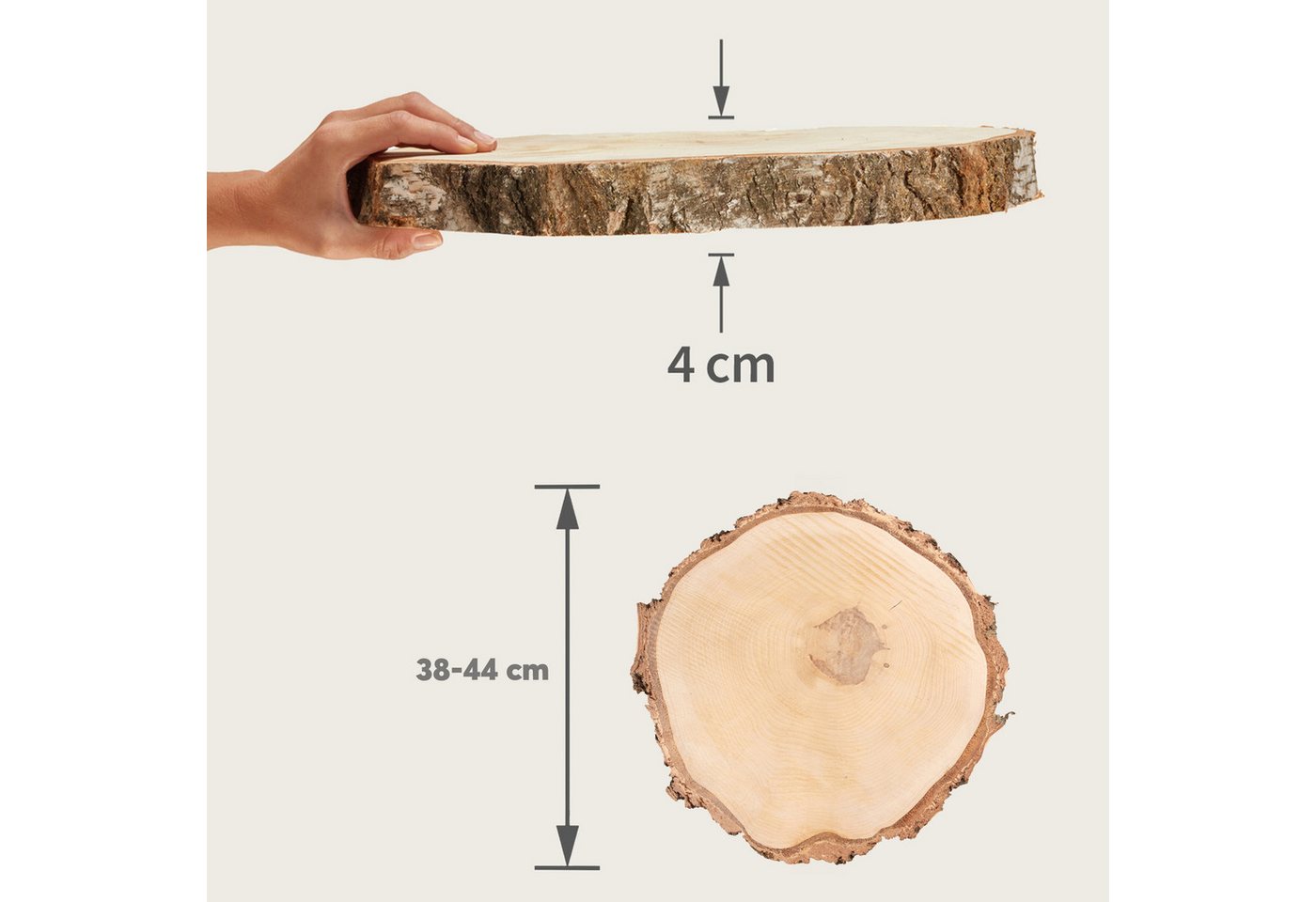 matches21 HOME & HOBBY Bastelnaturmaterial Große 40 cm Baumscheibe 1 Stk. zum Holz-Deko Basteln, (1-tlg), runde Holzscheiben aus massivem EU Birkenholz Bild 3