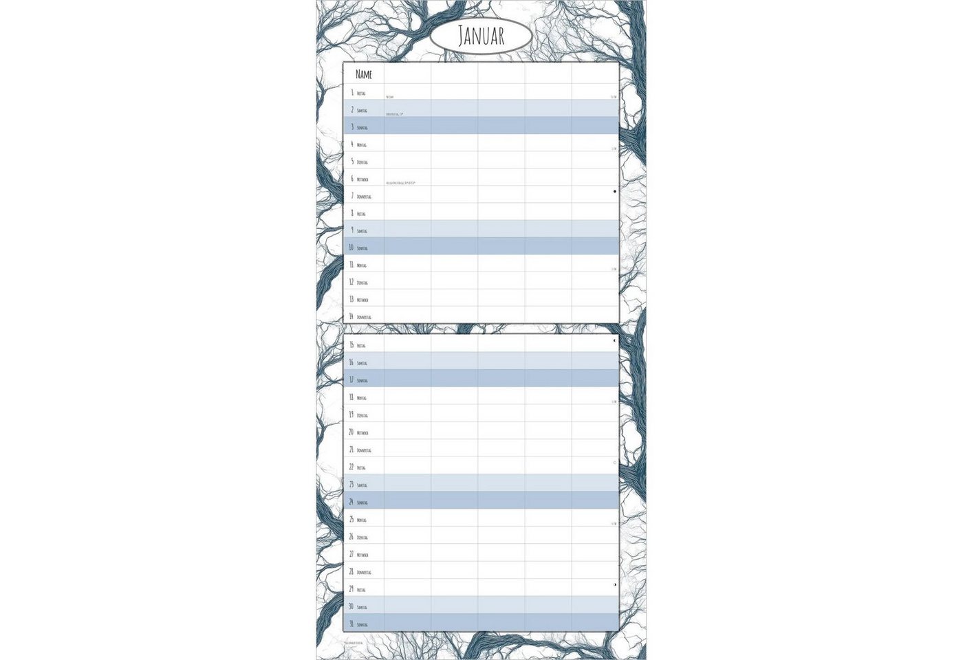 Wandkalender Familienplaner Deluxe 2027 Bild 2