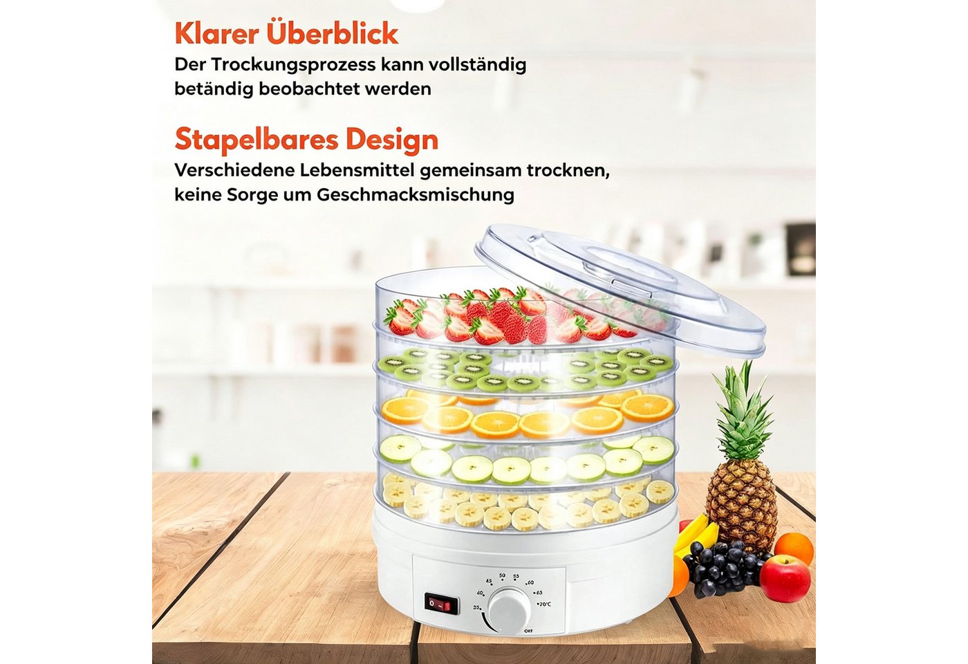 wohnTRAUM24 Dörrautomat Dörrautomat Dörrgerät mit Temperaturregler, 5 Einlegefächer, 35-70°C 350 W, 5 Etagen, Vielseitig für Obst, Fleisch, Fisch & Kräuter Bild 2