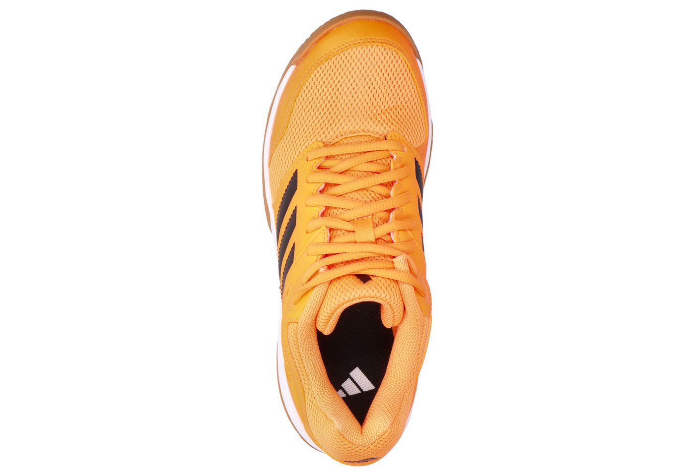 adidas Performance adidas Kinder Hallenschuhe Speedcourt k Hallenschuh