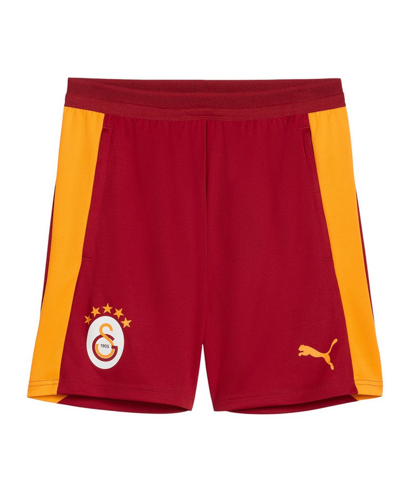 PUMA Sporthose PUMA Galatasaray Istanbul Training Short Bild 2