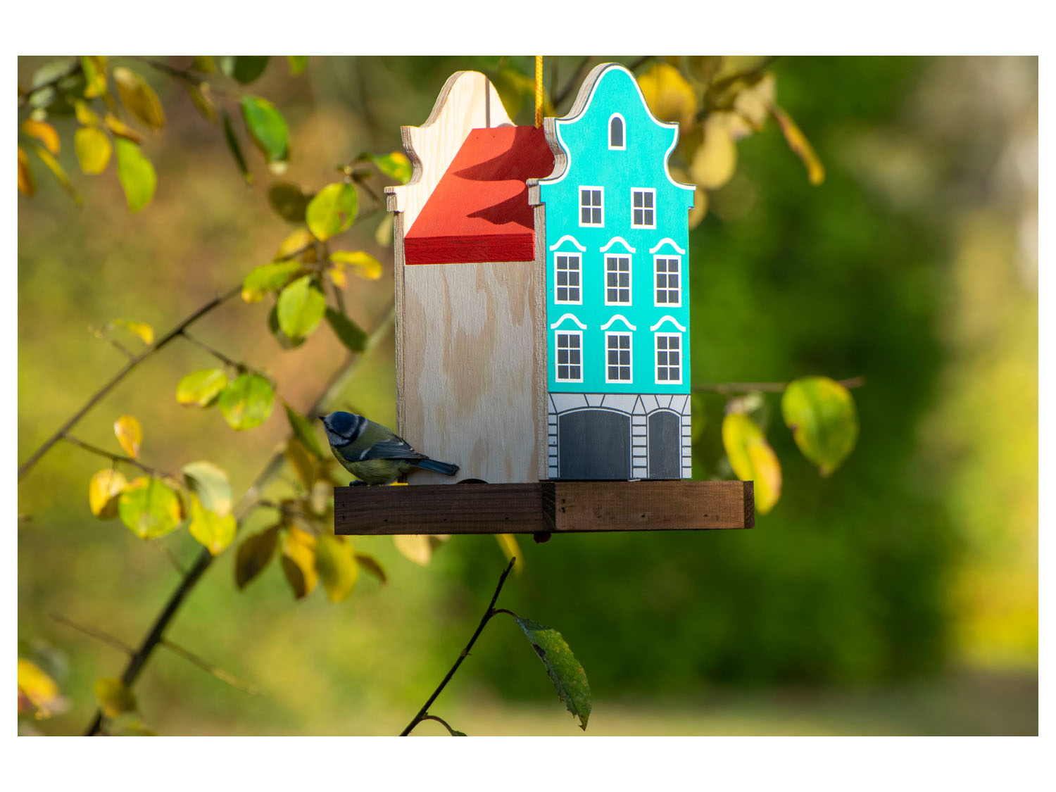 DOBAR Buntes Deko-Vogelhaus Münster, 19 x 19 x 30 cm (hellblau/rot)