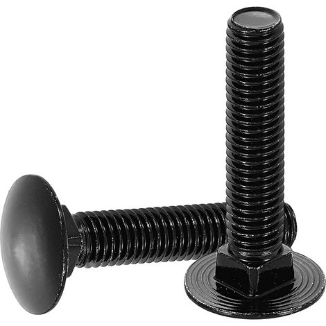 (304) Edelstahl-rundkopf- Und Vierkantschrauben Zur Befestigung Von Armaturen (10er-packung, M10 X 50 Mm, Schwarz)
