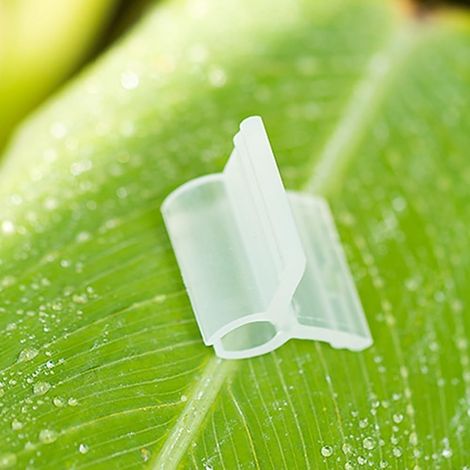 Packung Mit 100 Kunststoff-veredelungsclips Für Die Tomatenveredelung, Transparente Clips Für Die Unterlage, Geeignet Für Verschiedene Stammdicken (2,5 Mm)