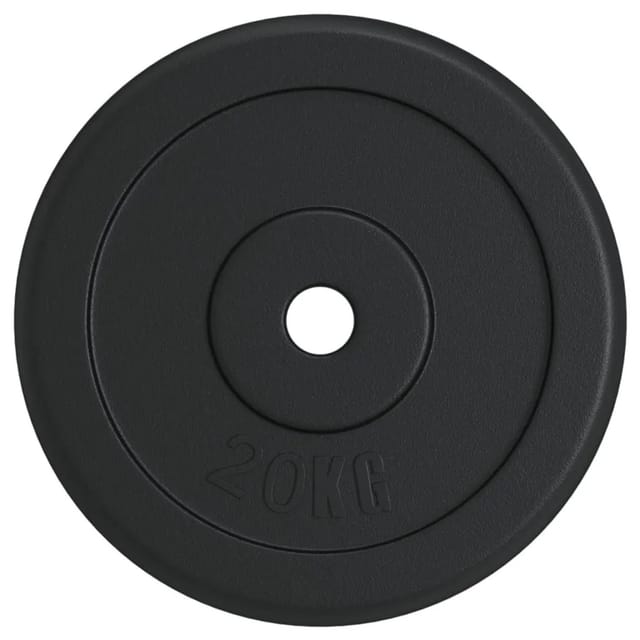 Hantelscheibe 20 kg Gusseisen Vidaxl