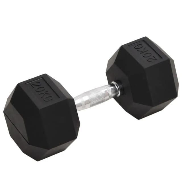 Kurzhantel 20 kg Gusseisen Vidaxl
