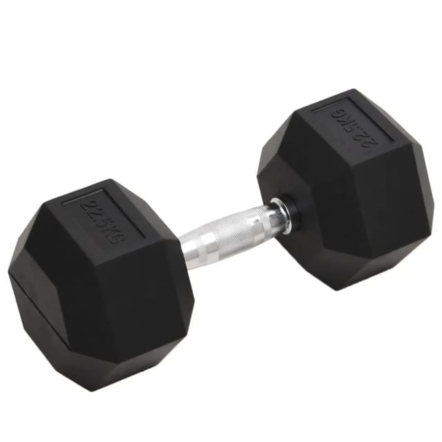 Kurzhantel 22,5 kg Gusseisen vidaXL