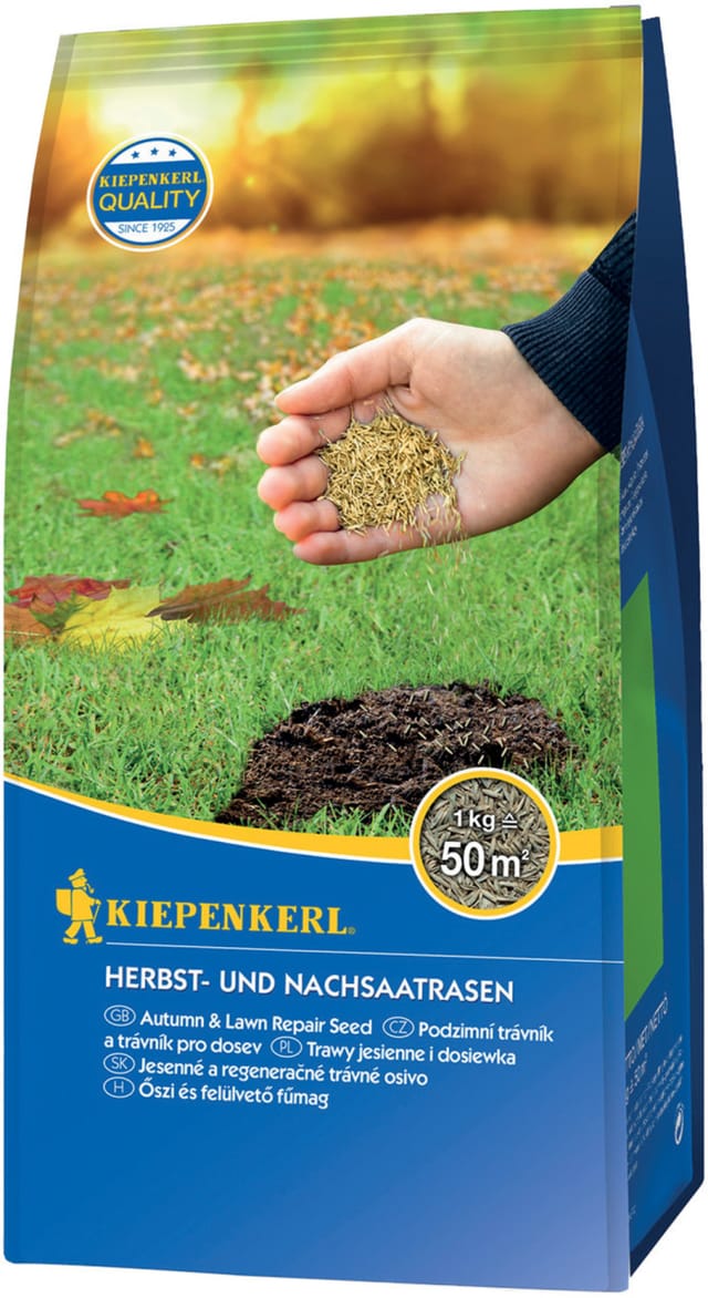 Kiepenkerl - Saatgut Herbst- und Nachsaatrasen 1 kg, für 50 m² Rasensamen