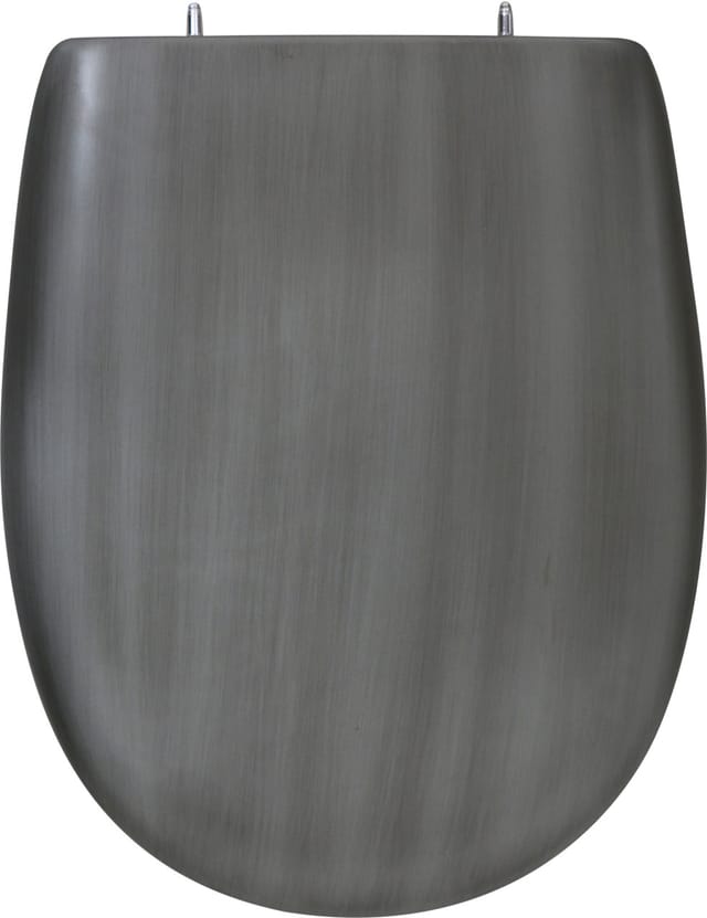 Primaster - WC-Sitz mit Absenkautomatik Metallic grau abnehmbar Toilettensitz