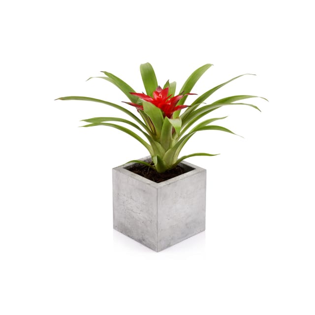 Manufaktur Beton Blumentopf Kubik s 13x13x13cm Pflanztopf Blumenkübel Pflanzgefäß - Beske