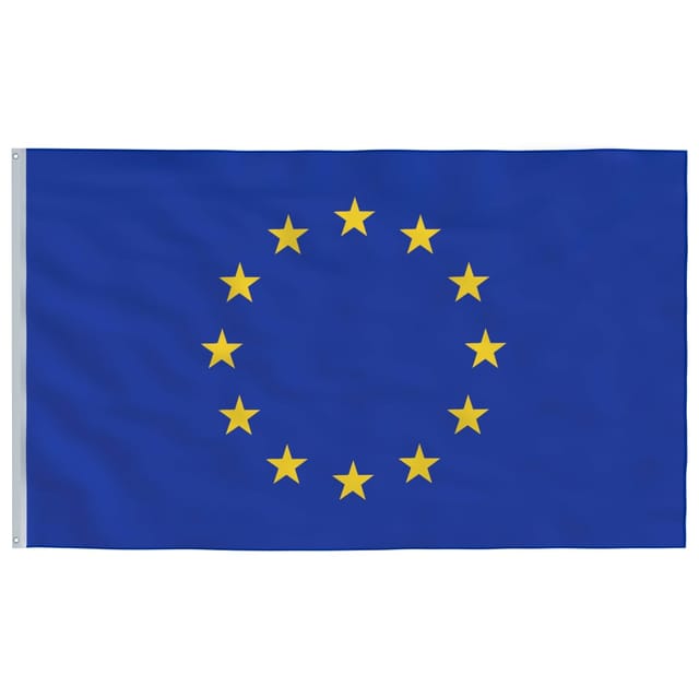 Europaflagge 90 x 150 cm Vidaxl