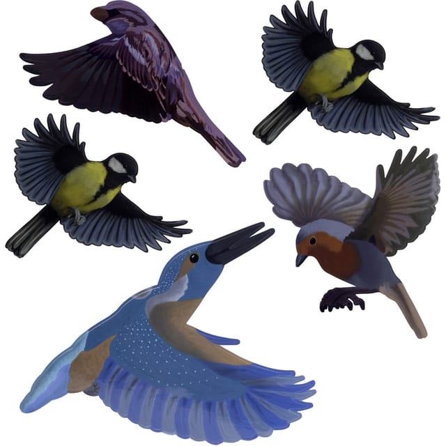 Gardigo - Vogelsilhouette heimische Vögel bunt 5 teilig