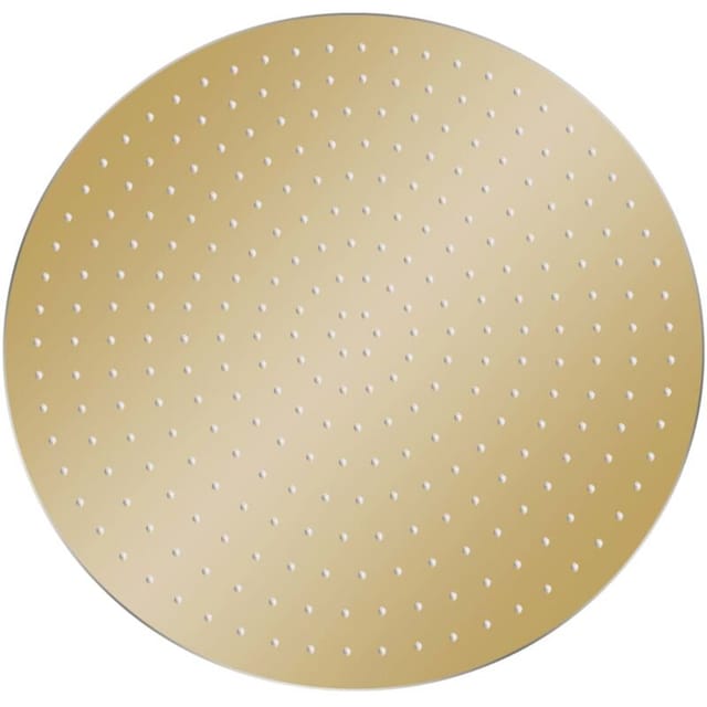 Regenbrause Edelstahl 40 cm Rund Golden Vidaxl