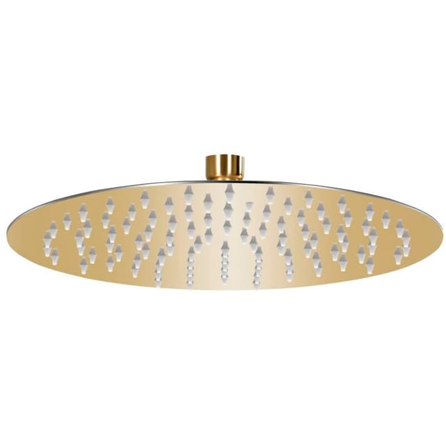 Regenbrause Edelstahl 25 cm Rund Golden Vidaxl