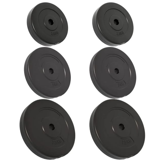 vidaXL Hantelscheiben 6 Stk. 30 kg Zement