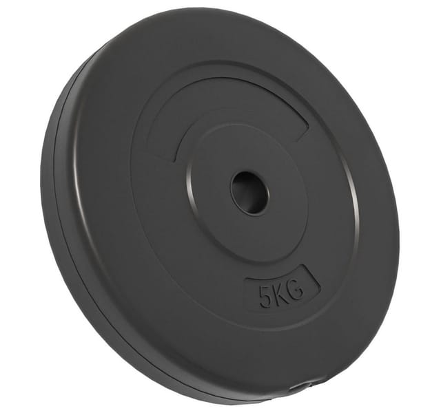 Hantelscheiben 4 Stk. 30 kg Zement - Vidaxl