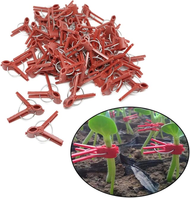 Tomaten-pfropfclip, Sämlings-pfropfclip, Auberginen-pfropfclip, 100 Stück, Runde Öffnung