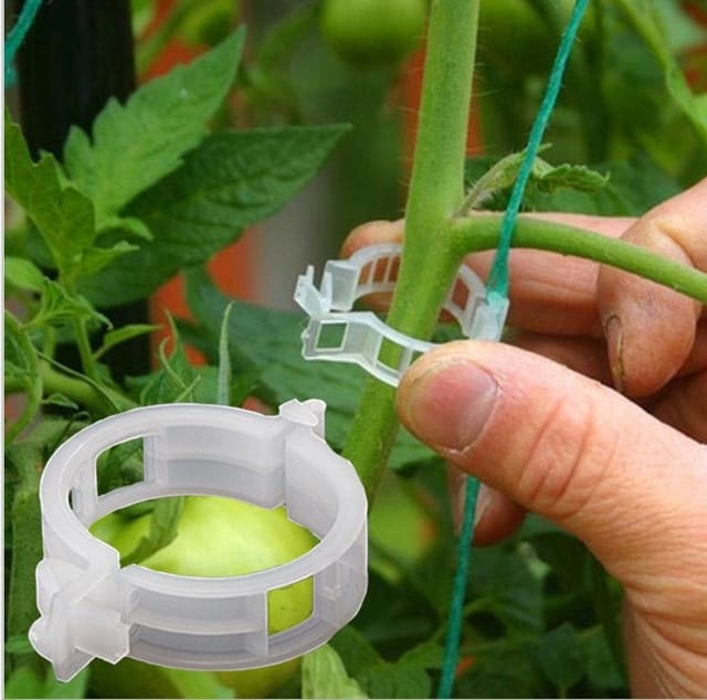 100pcs Anlage Unterstützung Garten Clips Tomaten Clips Unterstützt/verbindet Pflanzen/fix