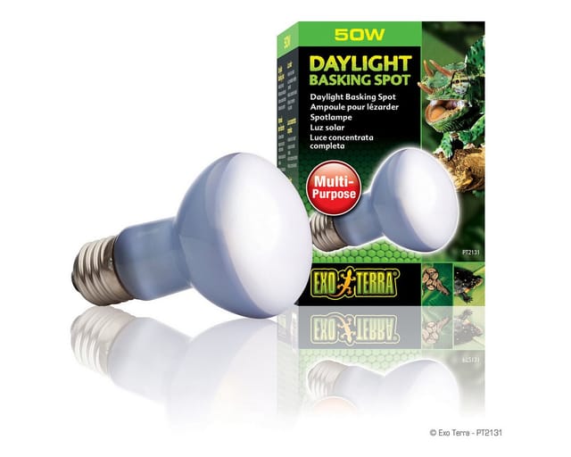 Exo Terra Daylight Basking Spot 50W Transparent