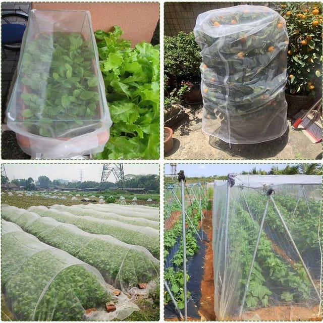 Weißes Insektennetz Für Gemüsegärten 3 X 6 M, Schutz Für Pflanzen, Blumen, Gemüse Und Obst