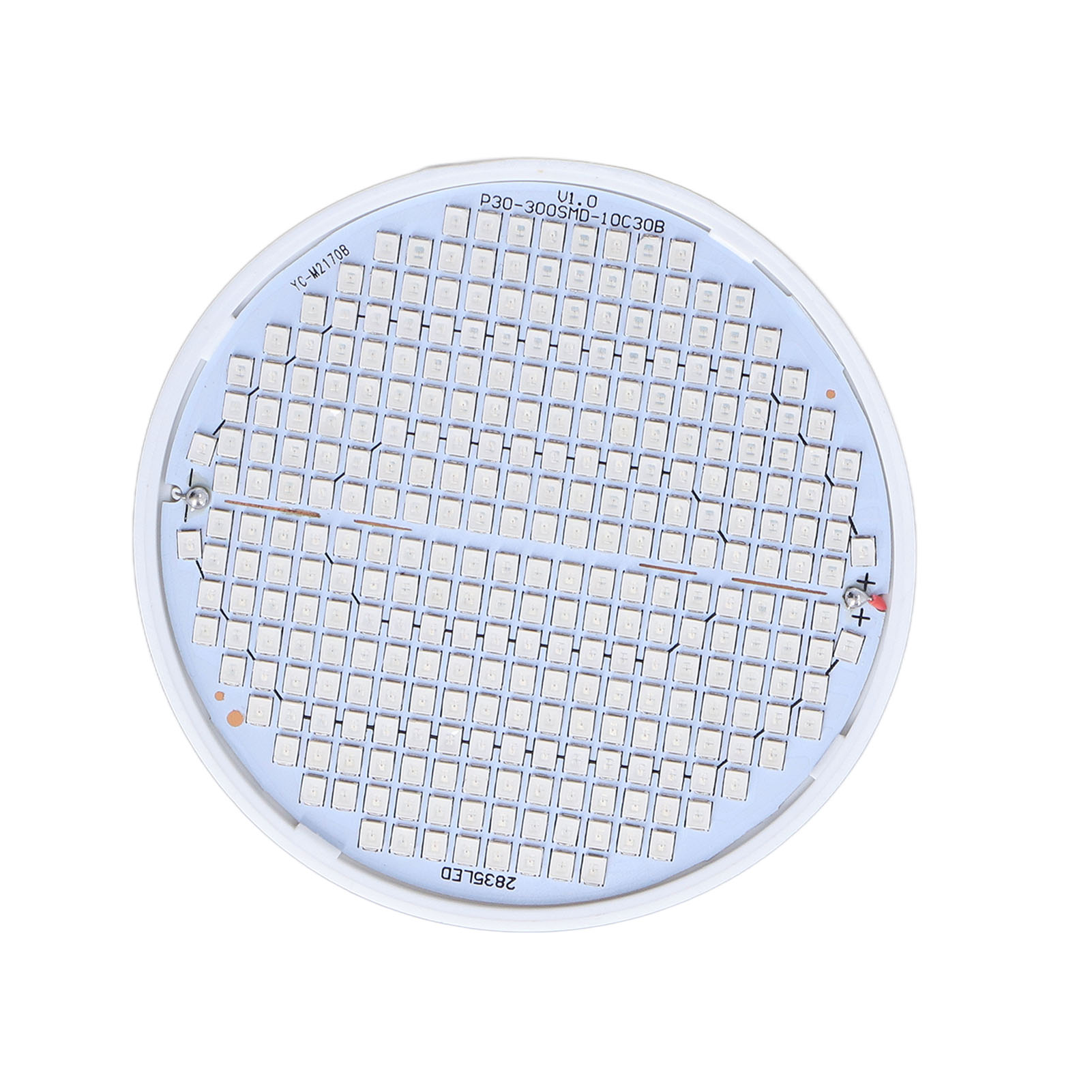 Led-pflanzenlampe, 85–265 V, Rotes Und Blaues Licht, Für Anzuchttöpfe Im Innenbereich, E27-300-leuchtmittel