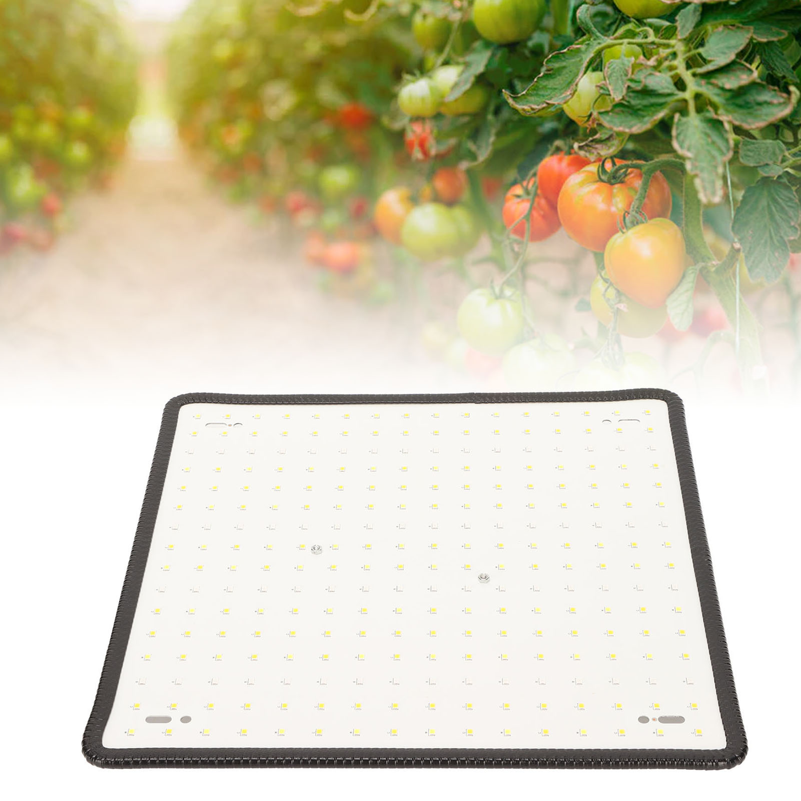 1000-w-led-pflanzenlampe, Zusatzbeleuchtung Für Sämlinge, Rotes Und Blaues Lichtspektrum, Quantum Panel Für Den Indoor-anbau, Europäischer Standard 85–265 V