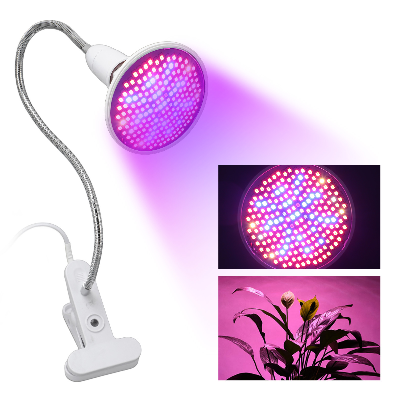 8-w-led-tischleuchte Mit Pflanzenklemme, Vollspektrum Für Wachstum Und Farbentwicklung Von Sukkulenten, Europäischer Standard 110–220 V
