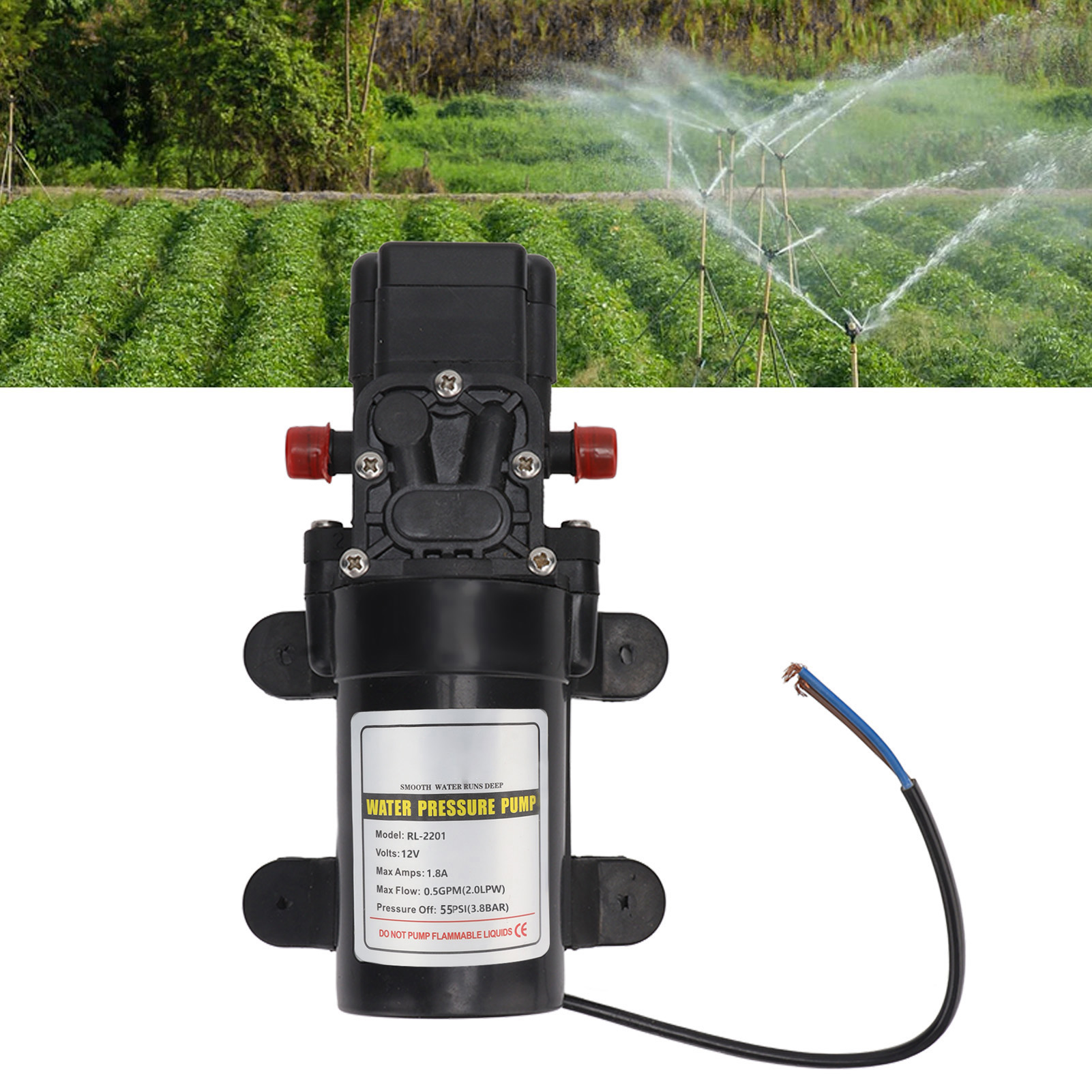 Miniatur-membranpumpe, Sprühpumpe, Selbstansaugende Mini-wasserpumpe, Hochdruck-wasserpumpe, Außenwasserpumpe, Modell Rl-2201, 12 V
