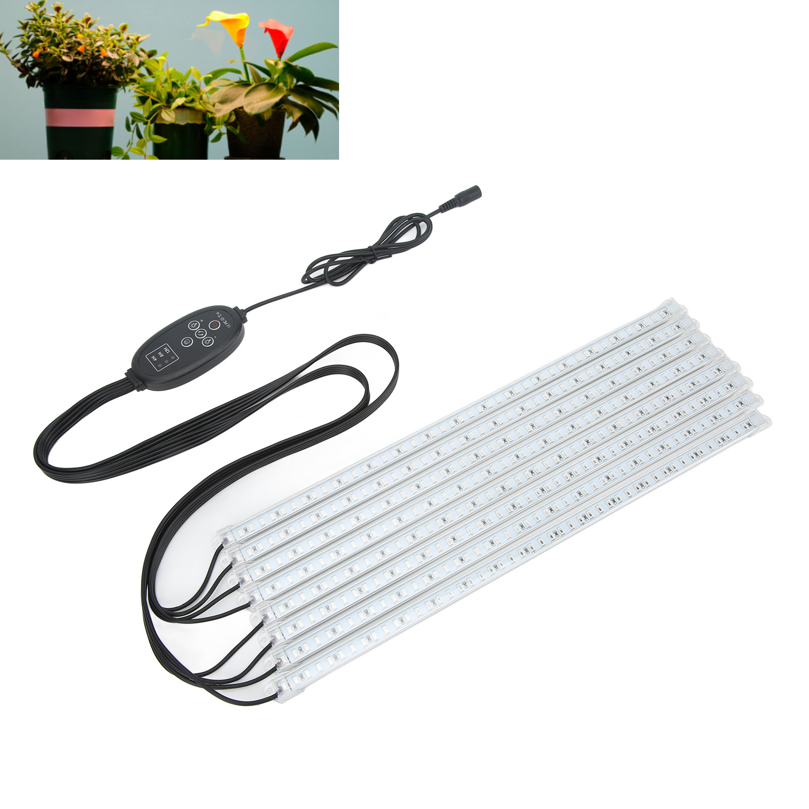 Starrer 8-fach Roter Und Blauer Led-streifen, 100–240 V, Für Pflanzen, Mit Timer Und Dimmer, Europäischer Standard