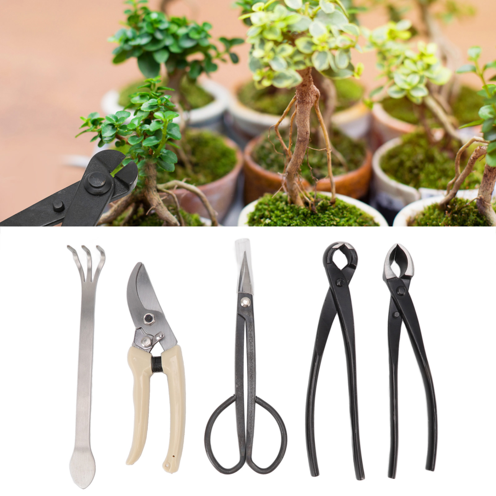 Bonsai-werkzeugset Für Anfänger, Professionelles Basisset Zum Beschneiden Und Formen Von Bonsai, Kugelgelenkzange, Knospenschere