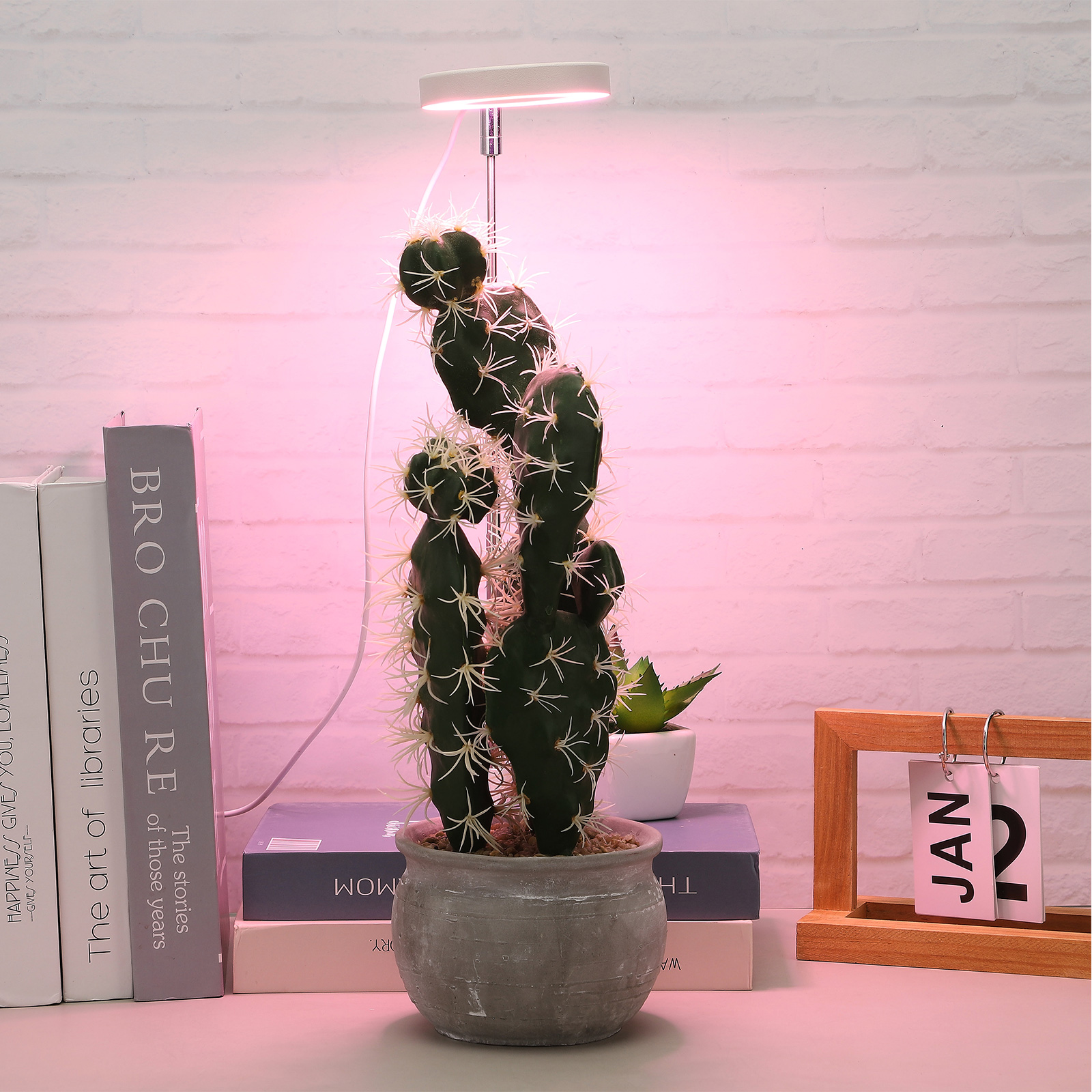 Usb-pflanzenlampe Mit Ringlicht, Programmierbarer Dimmfunktion, Vollspektrum, Simuliert Sonnenlicht, Pflanzenlampe, Zusatzlicht, Vollspektrum-pflanzenlampe - Weiß.