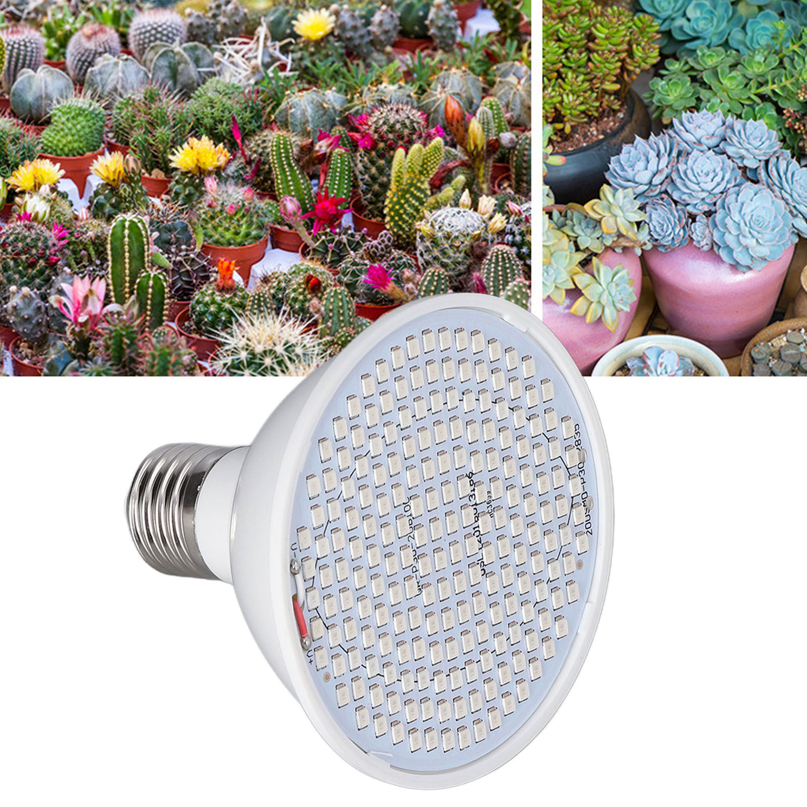 Led-pflanzenlampe, 85–265 V, Rotes Und Blaues Licht, Für Anzuchttöpfe Im Innenbereich, E27-00-fassung