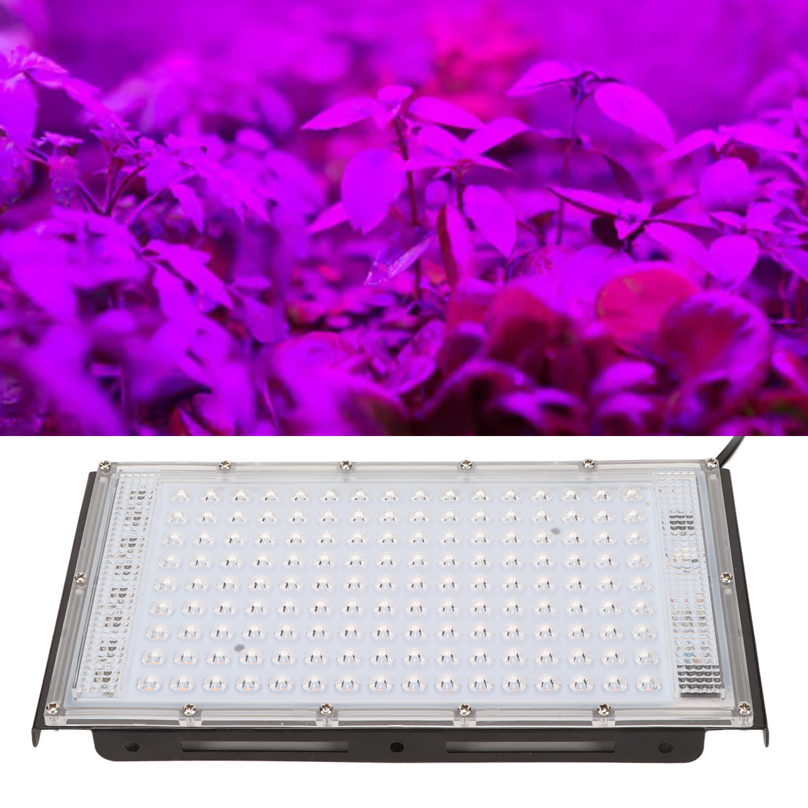 200-w-led-pflanzenlampe, Vollspektrum-pflanzenlampe Für Den Innenbereich, Wasserdicht, Für Gewächshauspflanzen Und Blumen, Europäischer Standard 180–240 V