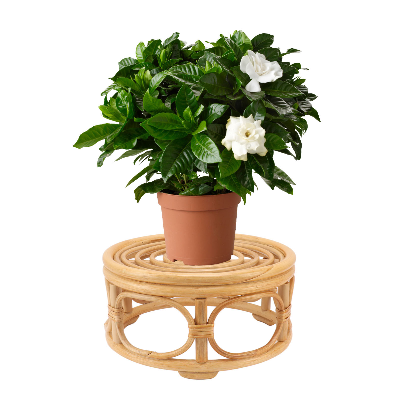 Runder Blumenständer Aus Rattan Im Nordischen Stil, Für Blumentöpfe In Restaurants Oder Efeututen Für Drinnen/auf Dem Balkon, Große Ausführung.