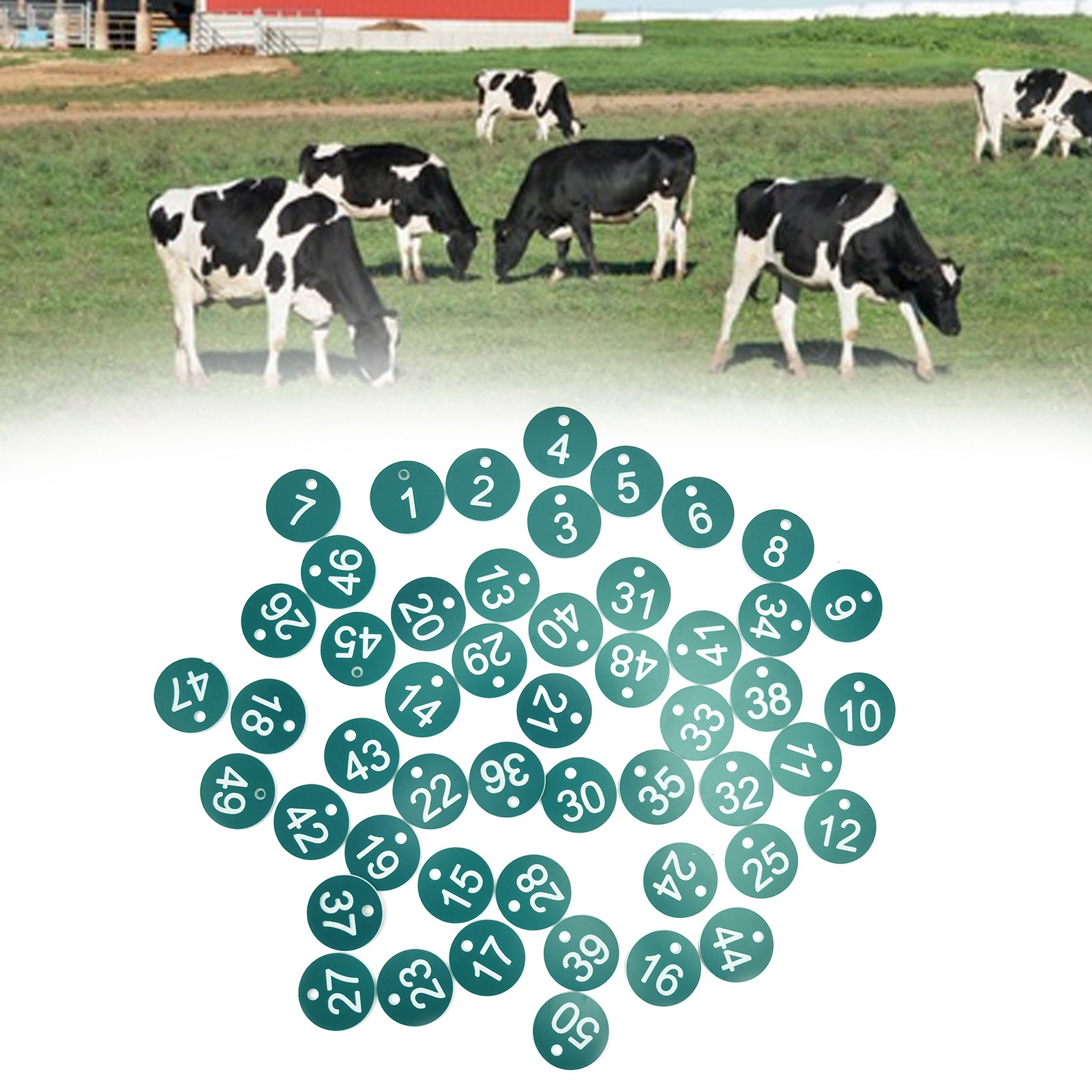 50 Nummerierte Etiketten Für Imkerei Und Viehzucht, Nummeriert Und Perforiert, Für Bienenstöcke Und Viehbedarf (1 Bis 50, Grün).