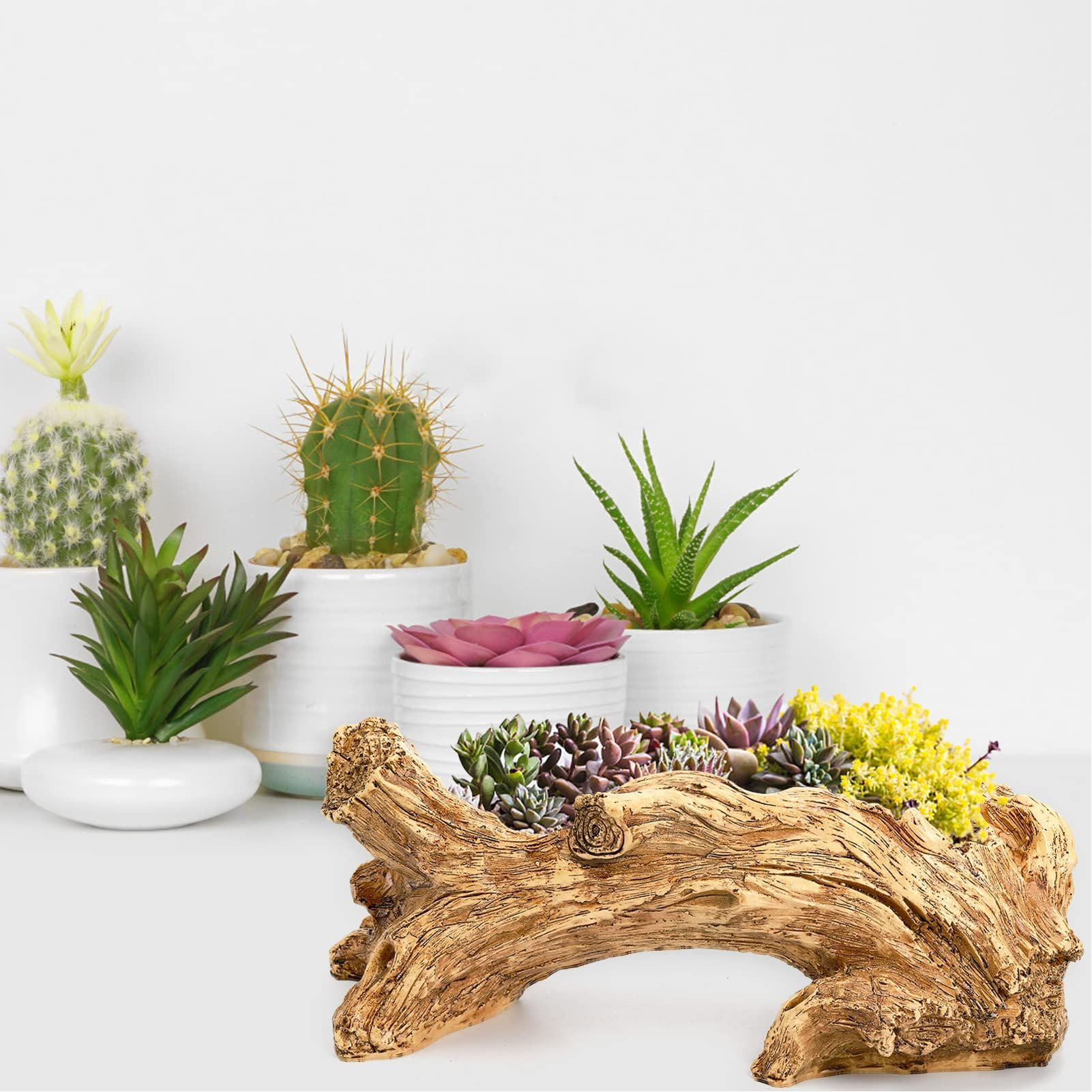 Sukkulenten-blumentopf Aus Holz, Der Einer Alten Baumwurzel Nachempfunden Ist, Originelles Tablett In Form Eines Umweltfreundlichen Baumstumpfs Oder Einer Baumkrone, Bogenbrücke